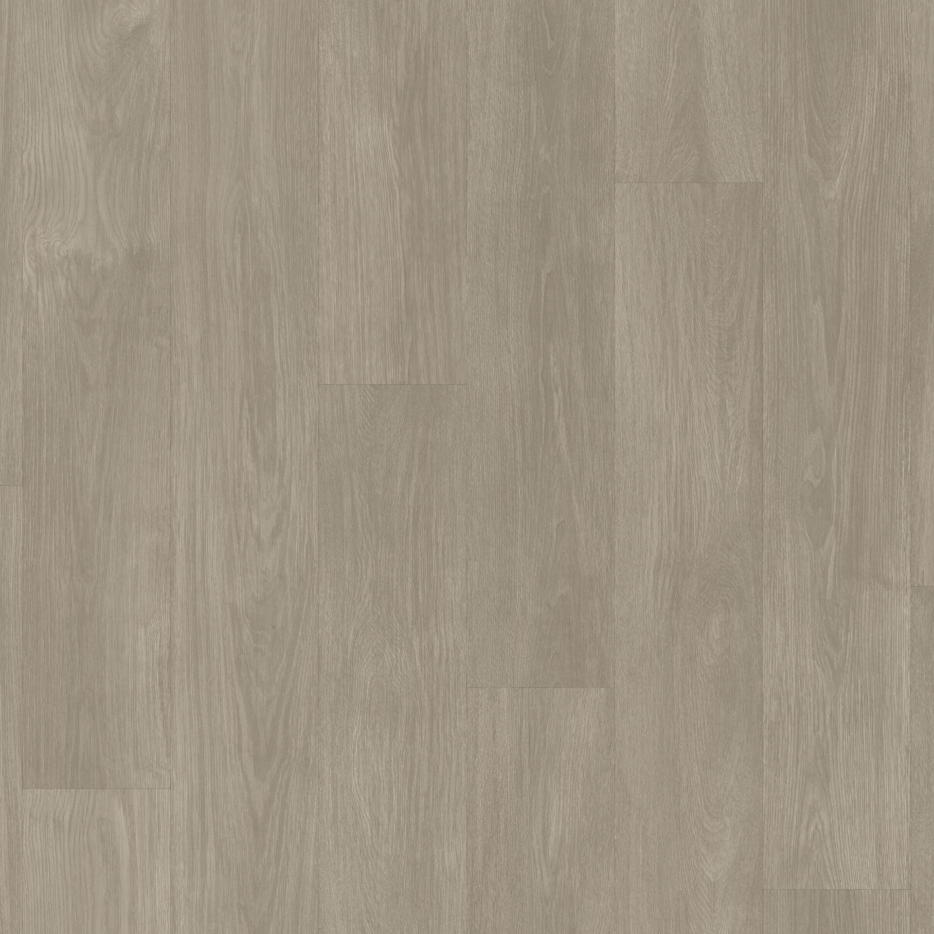 Acczent Excellence Compact+ Chatillon Oak GREY