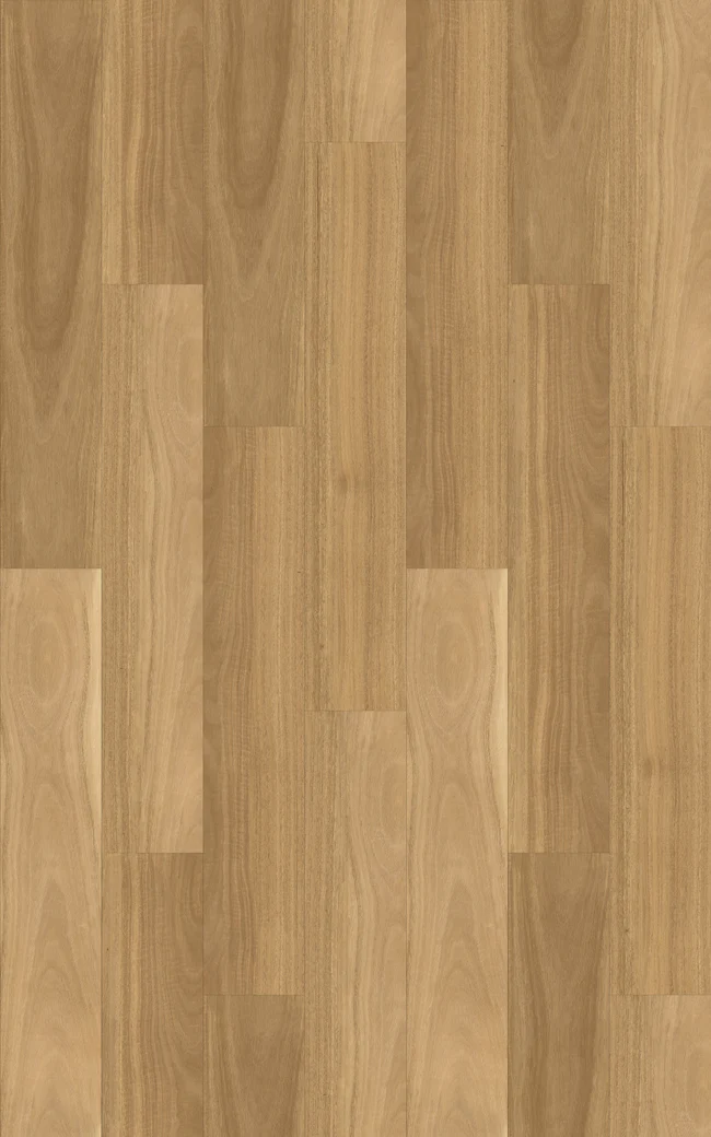 Kingswood Australis Salted Gum