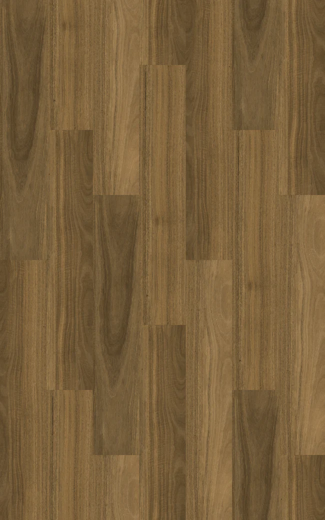 Kingswood Australis Silky Gum