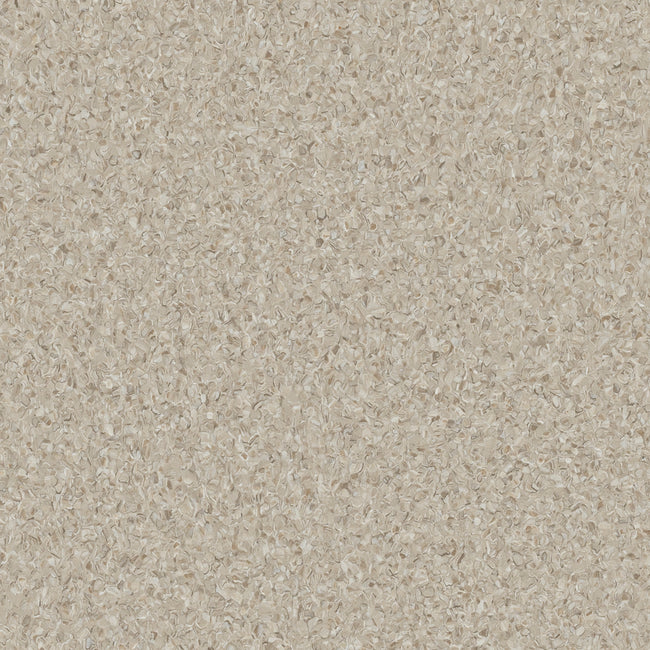 Accolade Safe Cappuccino