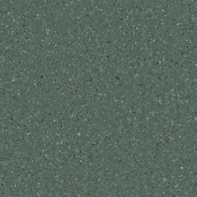 Accolade Plus Moreton Fig