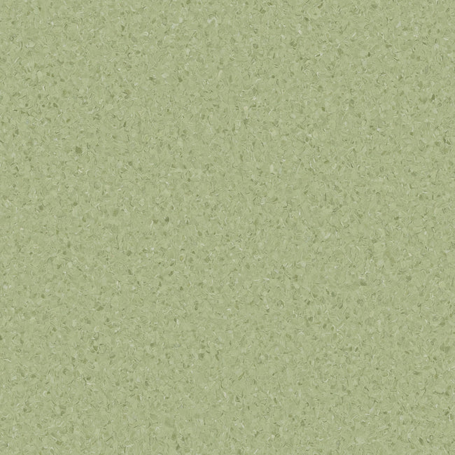 Accolade Plus Casaurina