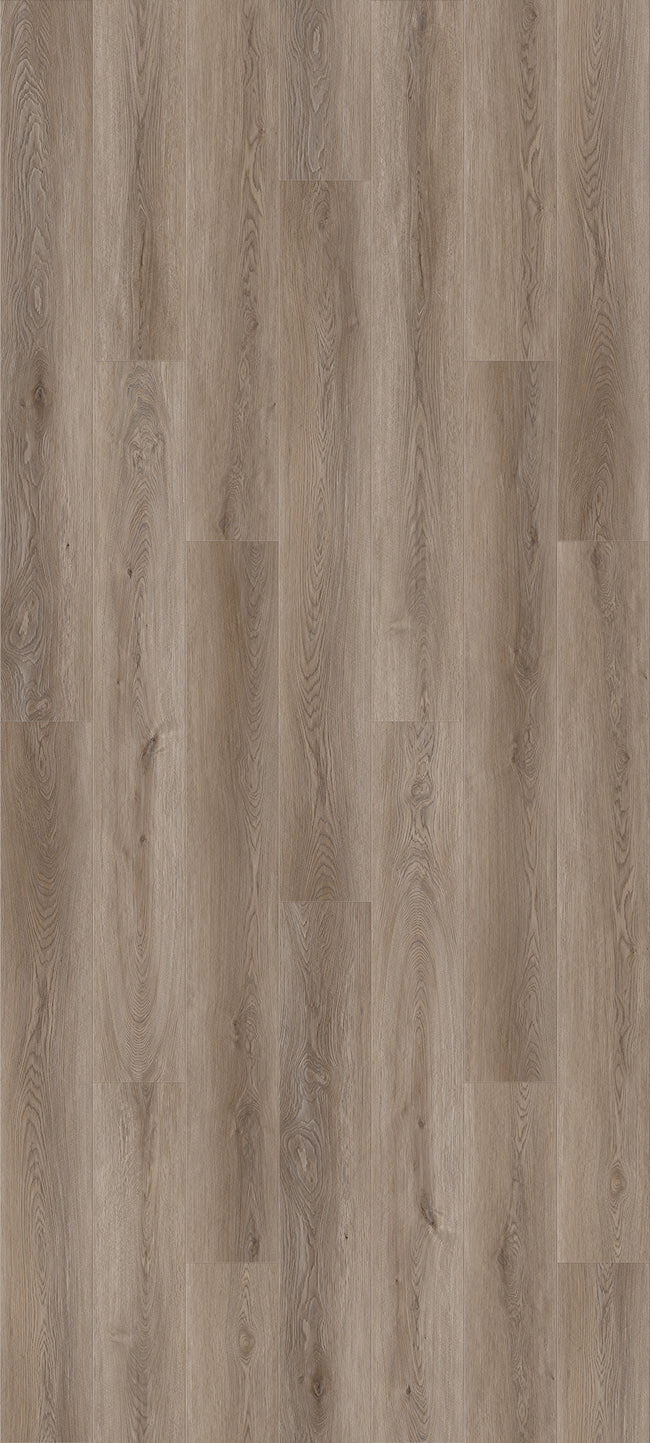 Queenstown 1.5 Wellington