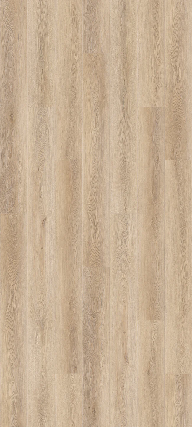 Queenstown 1.5 Mount Cook