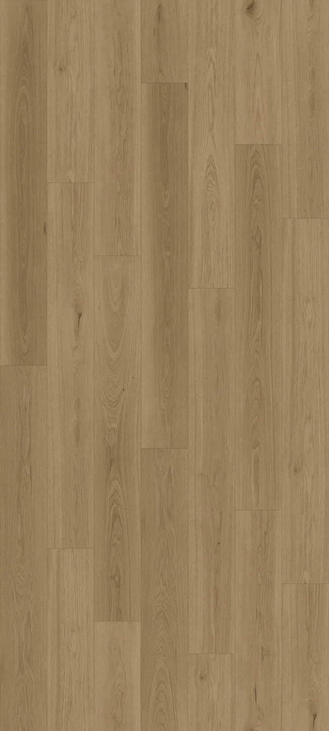 Queenstown 1.5 Roseneath