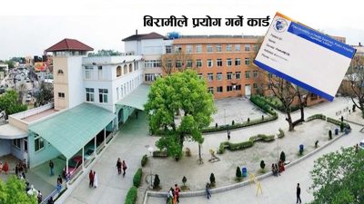 डा. कोजु करिष्मा