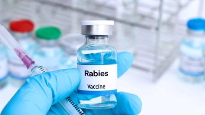 खेतीपातीको समयमा तीब्र रुपमा फैलिदै ‘लप्पी स्किन’ रोग