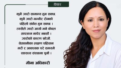 जापनिज इन्सेफ्लाइटिस किन चिन्ताको कारण बन्दैंछ ?