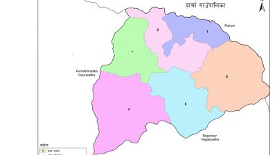 सल्यानको दार्मा गाउँपालिकामा स्क्रब टाइफसको प्रकोप, ६ जनाको मृत्यु
