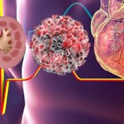 जाे क्यान्सर विजेता जनचेतनामा सक्रिय छन्