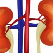 जीपीमा डायलासिस सेन्टर स्थापना गर्न लायन्स क्लबले दियो एक करोड