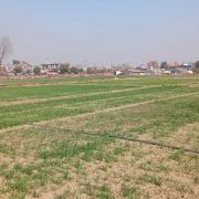 घरजग्गा कारोबारबाट गत माघमा ५ अर्ब राजस्व संकलन, पुसको तुलनामा गिरावट