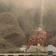 प्रविधिको कारण दाइँ गर्ने परम्परा लोप हुँदै