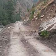 नाग्म–गमगढी सडक कालोपत्र गर्न ठेक्का आह्वान