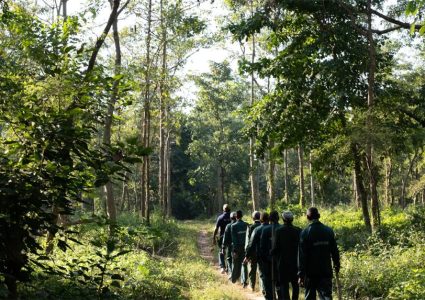 मधेशमा रोकिएन वन अतिक्रमण, फिर्ता ल्याउन सकस