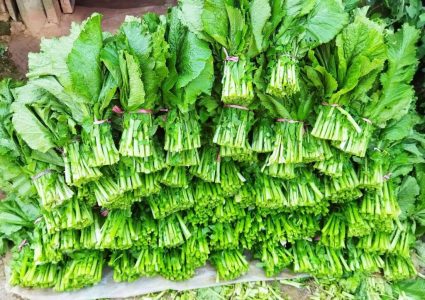 काठमाडौँको रायाेकाे सागमा भेटियो विषादी, खान अयोग्य ठहर