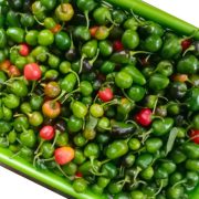 अकबरे खुर्सानीको मुल्य प्रतिकिलो ९ सय पुग्यो