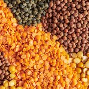 वीरगञ्ज हुँदै छ महिनामा सात अर्ब ६४ करोडको दलहन भित्रियो