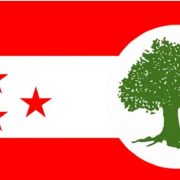 कांग्रेसका शीर्ष नेता चुनावमा पराजित : महामन्त्रीदेखि सहमहामन्त्रीसम्म सबै हारमा