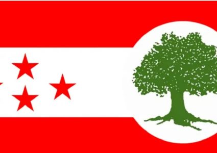 कांग्रेसका शीर्ष नेता चुनावमा पराजित : महामन्त्रीदेखि सहमहामन्त्रीसम्म सबै हारमा