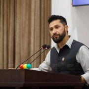 सेकेण्ड गनेर काम गर्ने रास्वपा सभापतिको उद्घोष !