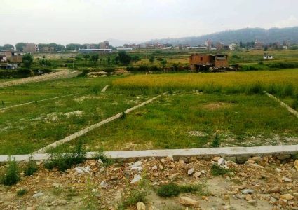 घरजग्गा बजारमा सुधारका संकेत, बागमतीमा कारोबार मूल्य सबैभन्दा उच्च