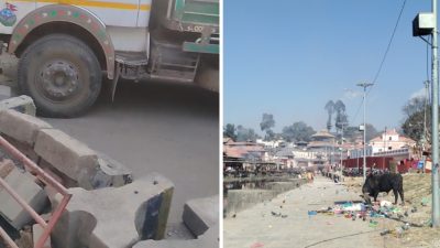 अस्तव्यस्त पशुपति!