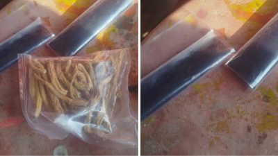 पशुपतिमा कमसल शिलाजितको बिगबिगी