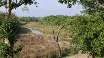 बर्दिया राष्ट्रिय निकुञ्जमा पानीको गहिरिँदो संकट: अवैध उत्खननले तिर्खाएका वन्यजन्तु&hellip;