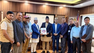 समाज कल्याण परिषद्सहित ३१ निकाय खारेजी