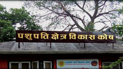 खारेज भइसकेको पशुपति क्षेत्र विकास कोषको कार्यकारी निर्देशक बन्ने दौडमा&hellip;
