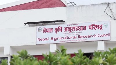 नार्कका कर्मचारी जोशी र भट्टराई सेवाबाट हटाइए