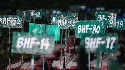 बाढीमा भेटिएका शव पहिचानका लागि यस्ताे छ डीएनए परीक्षणकाे प्रक्रिया