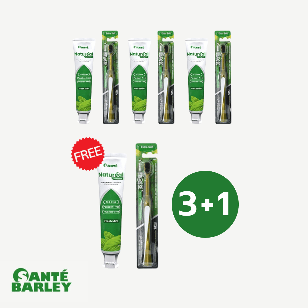 3+1 Natureal Toothpaste 100ml with Brosse Toothbrush